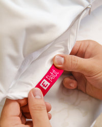 Endy Petit Protection Set